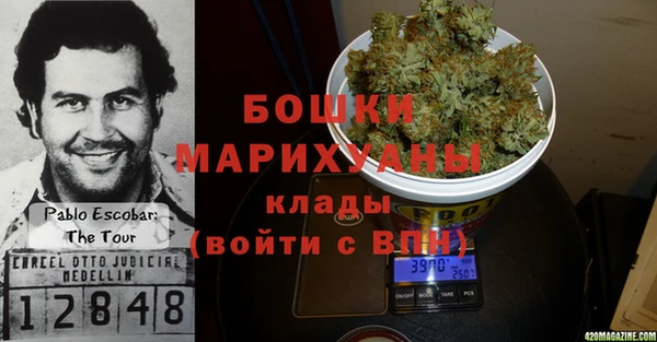 дмт Богородицк