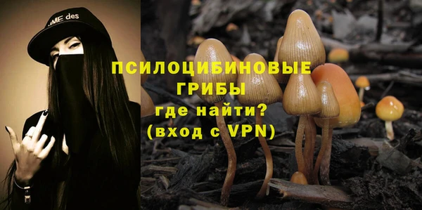 гашишное масло Богданович