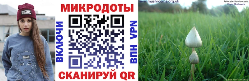 Псилоцибиновые грибы Psilocybine cubensis  Ува 